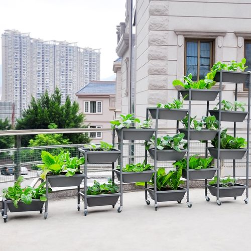 新滢铁艺花架蔬菜空心菜种植架多功能组合diy创意花果阳台种菜箱